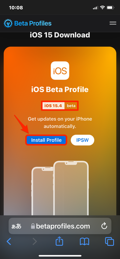 iOS Beta Profile Install